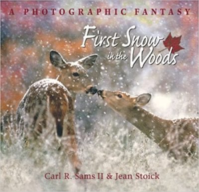 Cover of First Snow in the Woods: A Photographic Fantasy by Carl R. Sams II and  Jean Stoick- Winter Picture Books