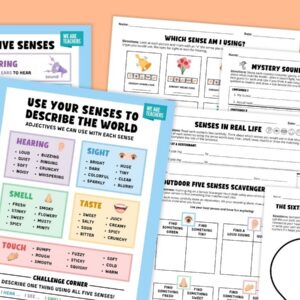 Images from the worksheets and activities in the Five Senses worksheet and activity bundle
