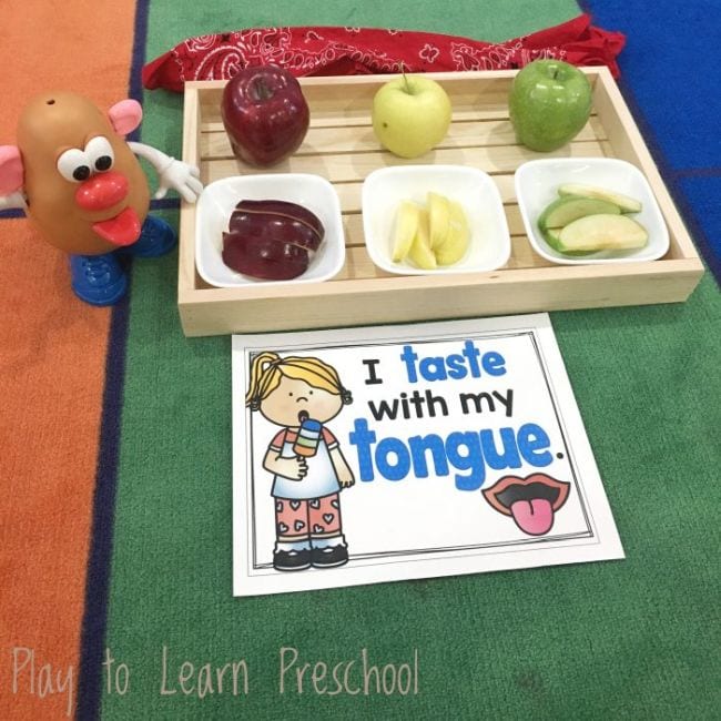 Wood tray with plates of apples, next to a Mr. Potato Head toy and a sign reading I taste with my tongue.