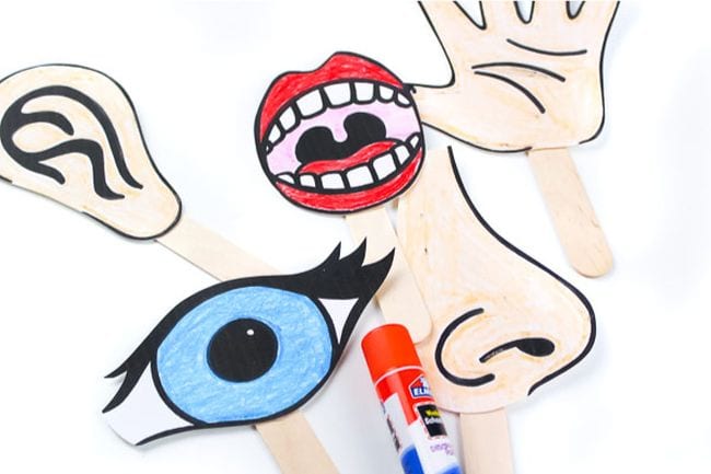 Finger puppets on sticks of an ear, eye, mouth, nose, and hand to use for five senses activities
