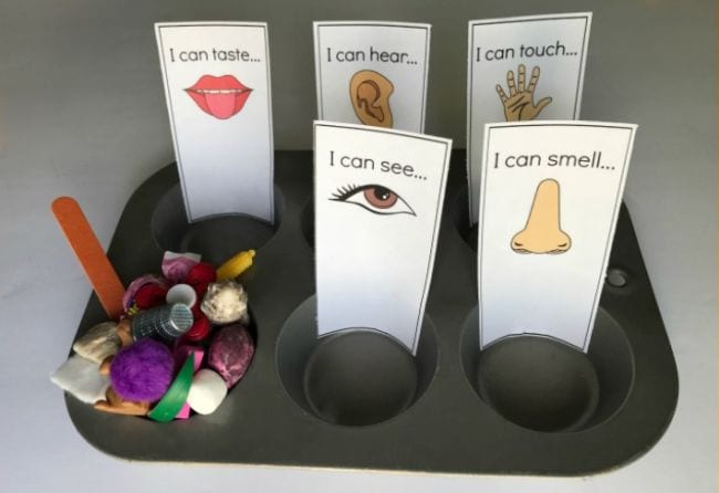 32 Engaging Five Senses Activities Young Learners Love