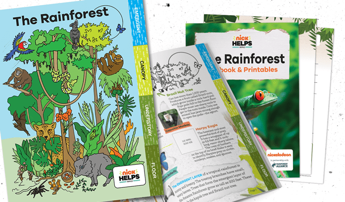 Rainforest Habitat Flipbooks