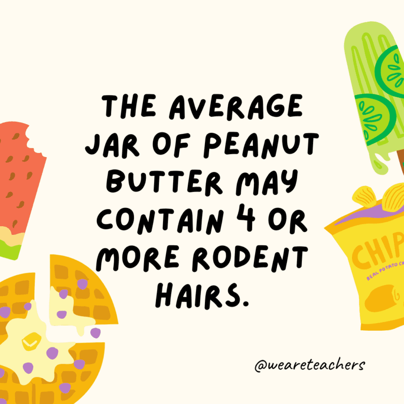 The average jar of peanut butter may contain 4 or more rodent hairs.