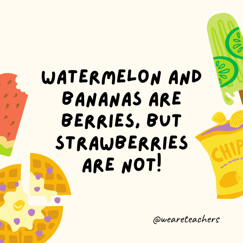 Watermelon and bananas are berries, but strawberries are not!