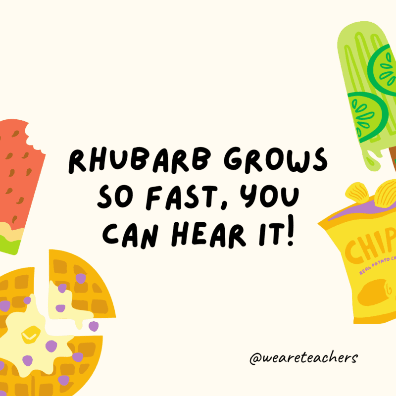 Fun food facts - Rhubarb grows so fast, you can hear it!
