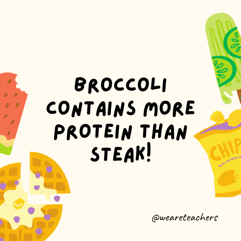 Fun food facts - Broccoli contains more protein than steak!