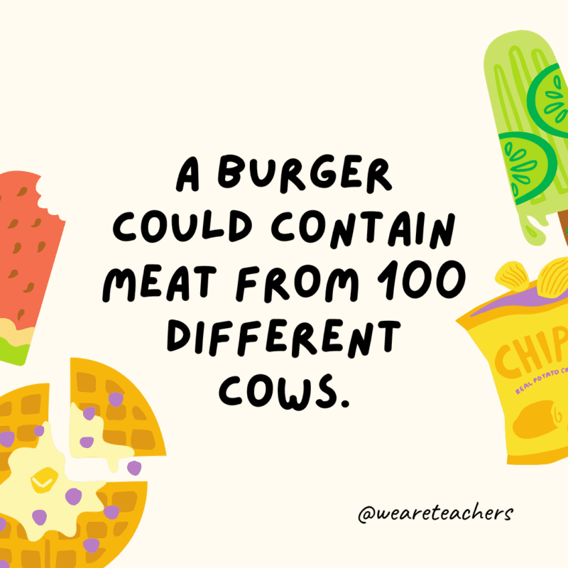 Fun food facts - A burner could contain meat from 100 different cows.