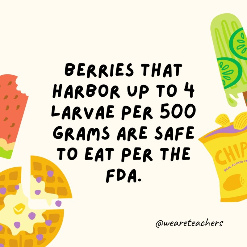Berries that harbor up to 4 larvae per 500 grams are safe to eat per the FDA.