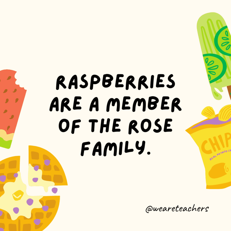 Raspberries are a member of the rose family.