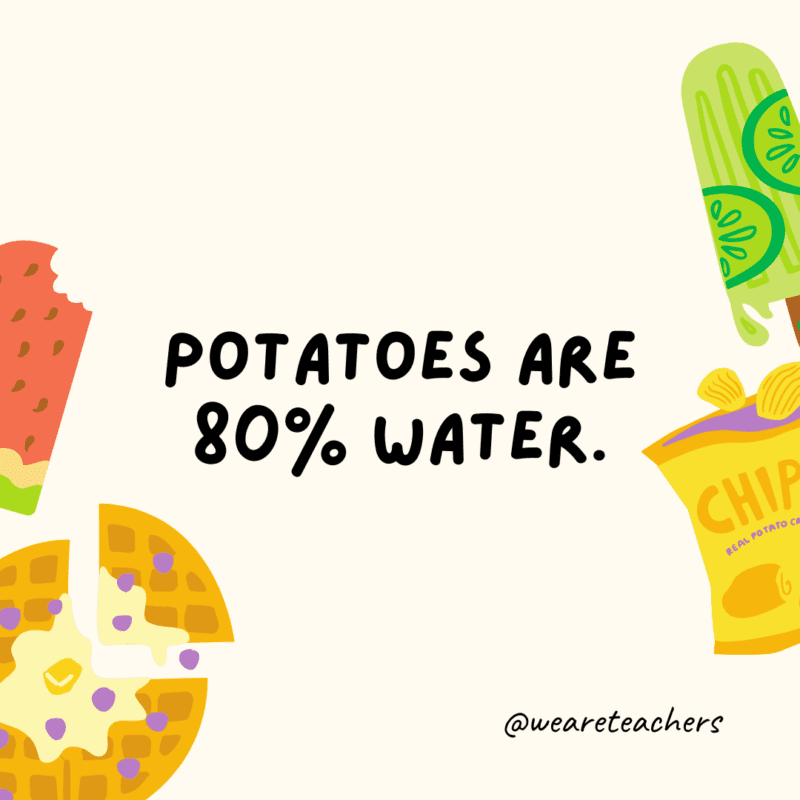 Potatoes are 80% water.