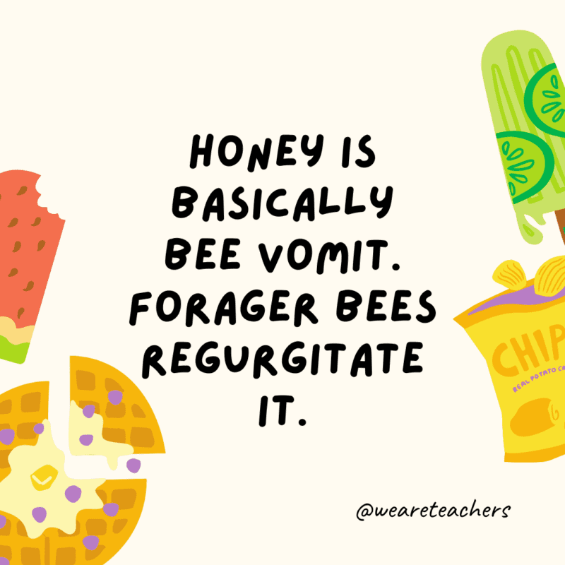 Honey is basically bee vomit. Forager bees regurgitate it.