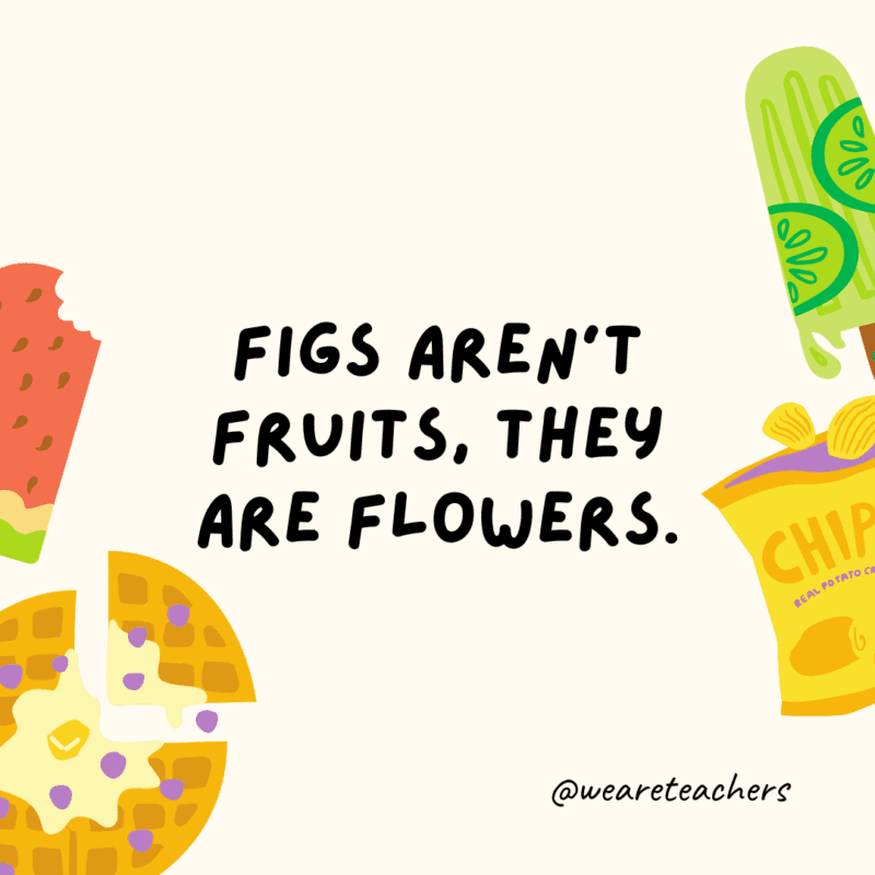 Figs aren't fruits, they are flowers.