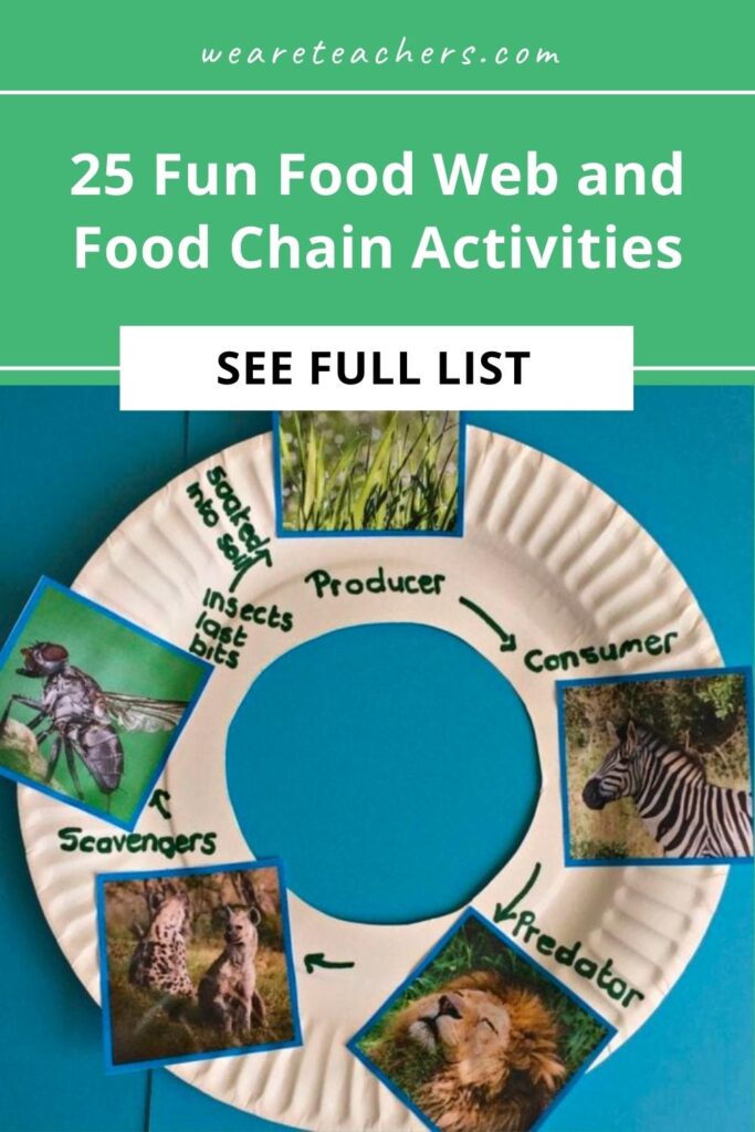 Learning about food webs and food chains helps kids understand how all of nature is connected. Try a fun food web activity from our list!