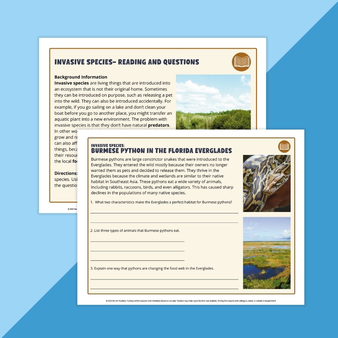 Images of a reading passage and comprehension questions about food web & food chain.