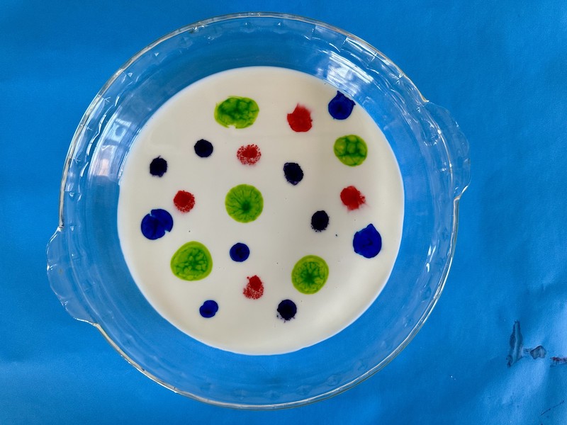 Food coloring drops on surface of milk for science experiment