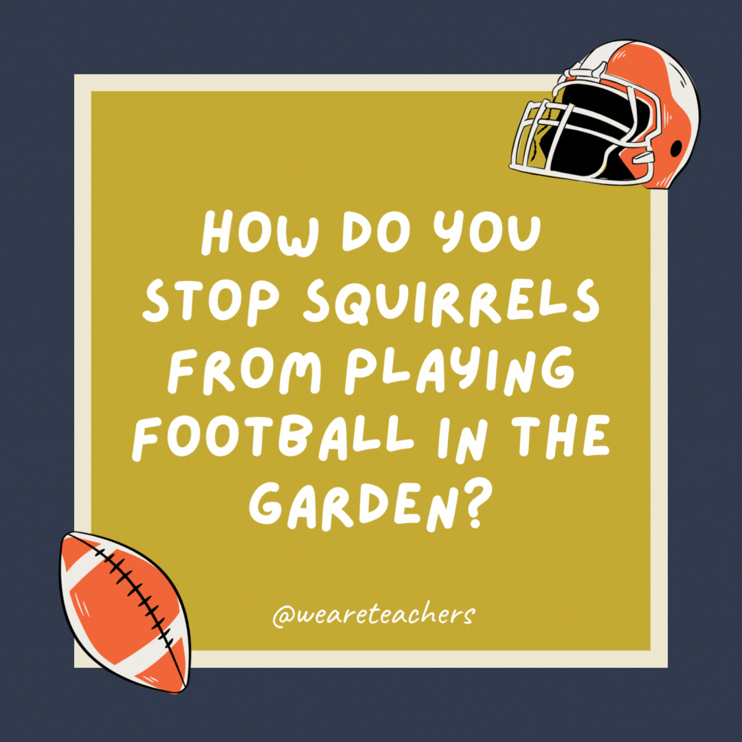 How do you stop squirrels from playing football in the garden? Hide the ball—it drives them nuts.- football jokes
