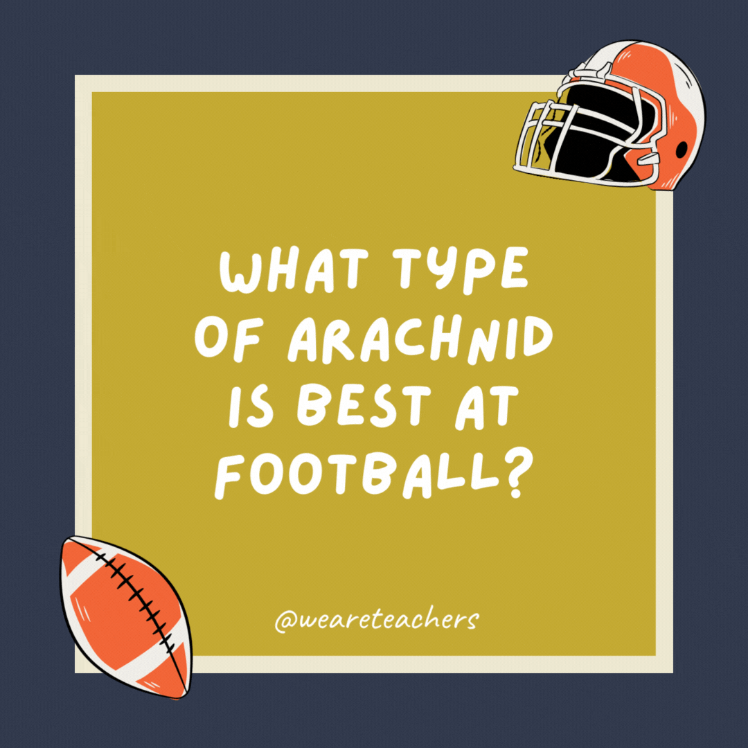 What type of arachnid is best at football? A score-pion.- football jokes