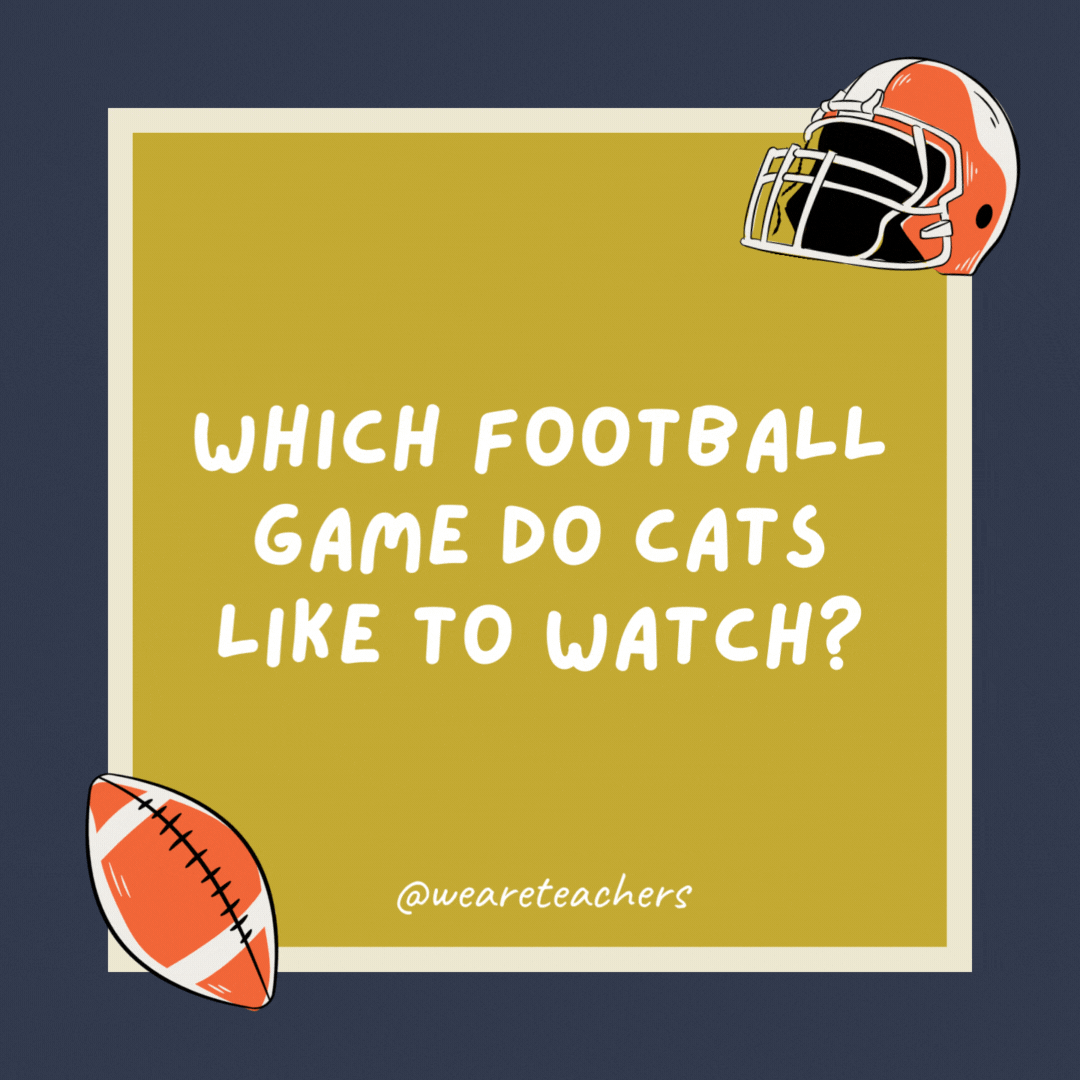 Which football game do cats like to watch?

The Goldfish Bowl.