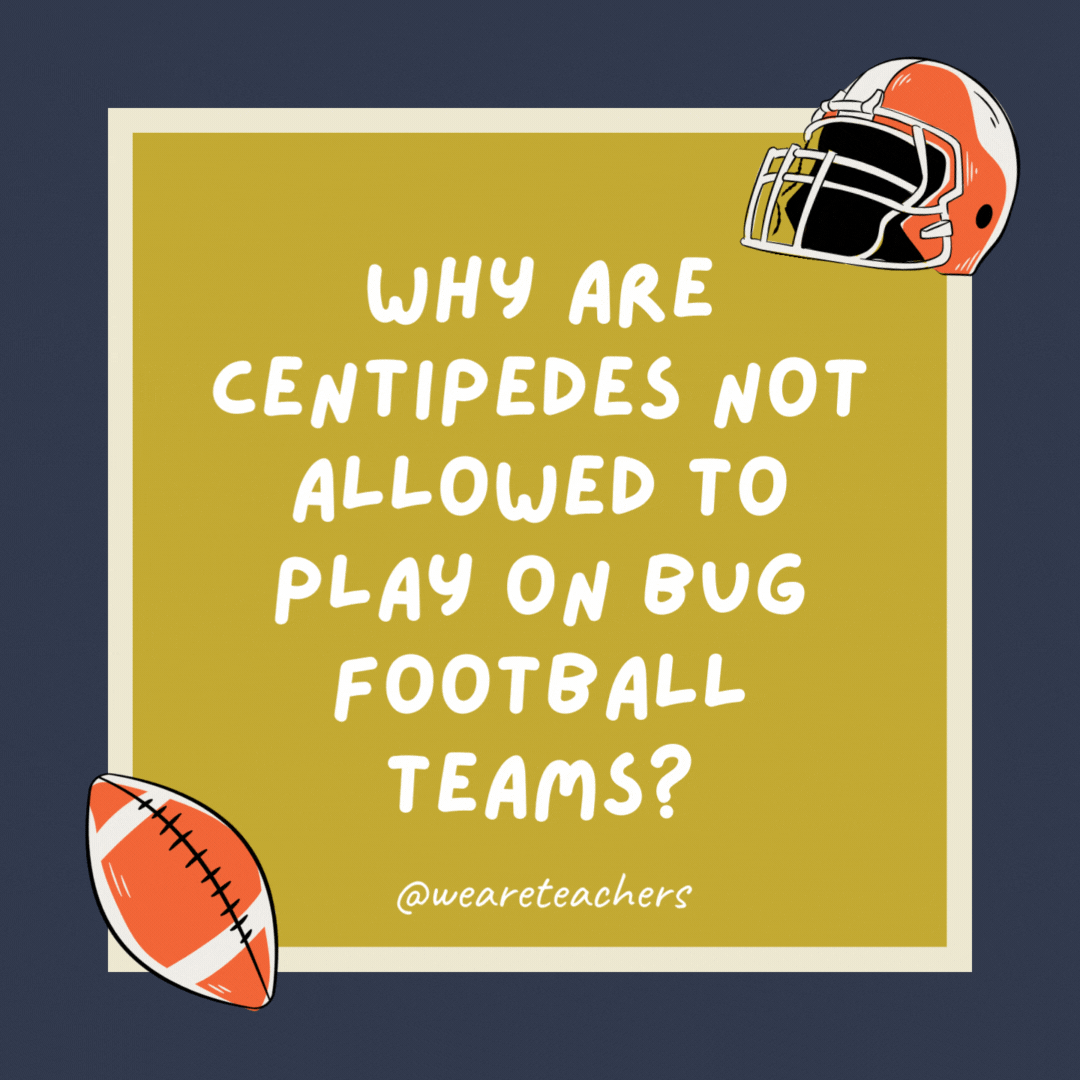 Why are centipedes not allowed to play on bug football teams? It takes too long to put their cleats on.- football jokes