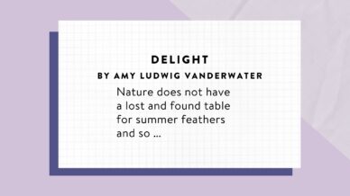 Delight by Amy Ludwig VanDerwater.