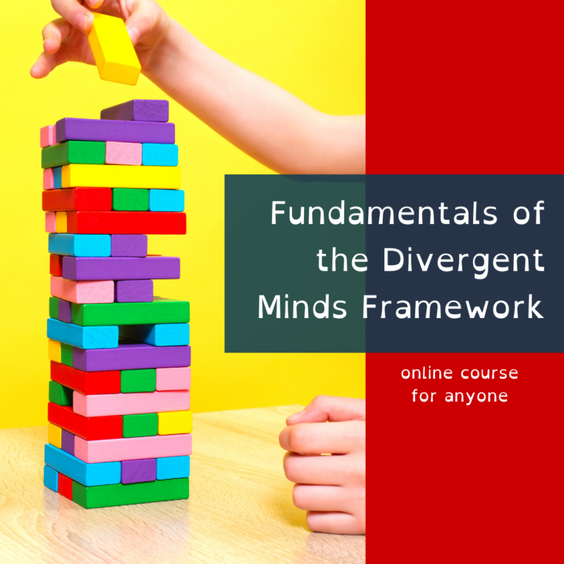 image-of-the-fundamentals-of-divergent-minds-class