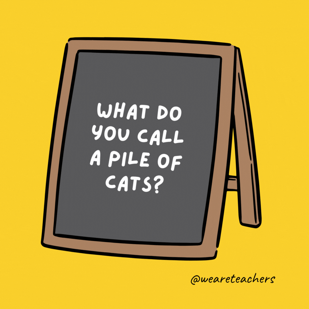 What do you call a pile of cats?

A meowtain.