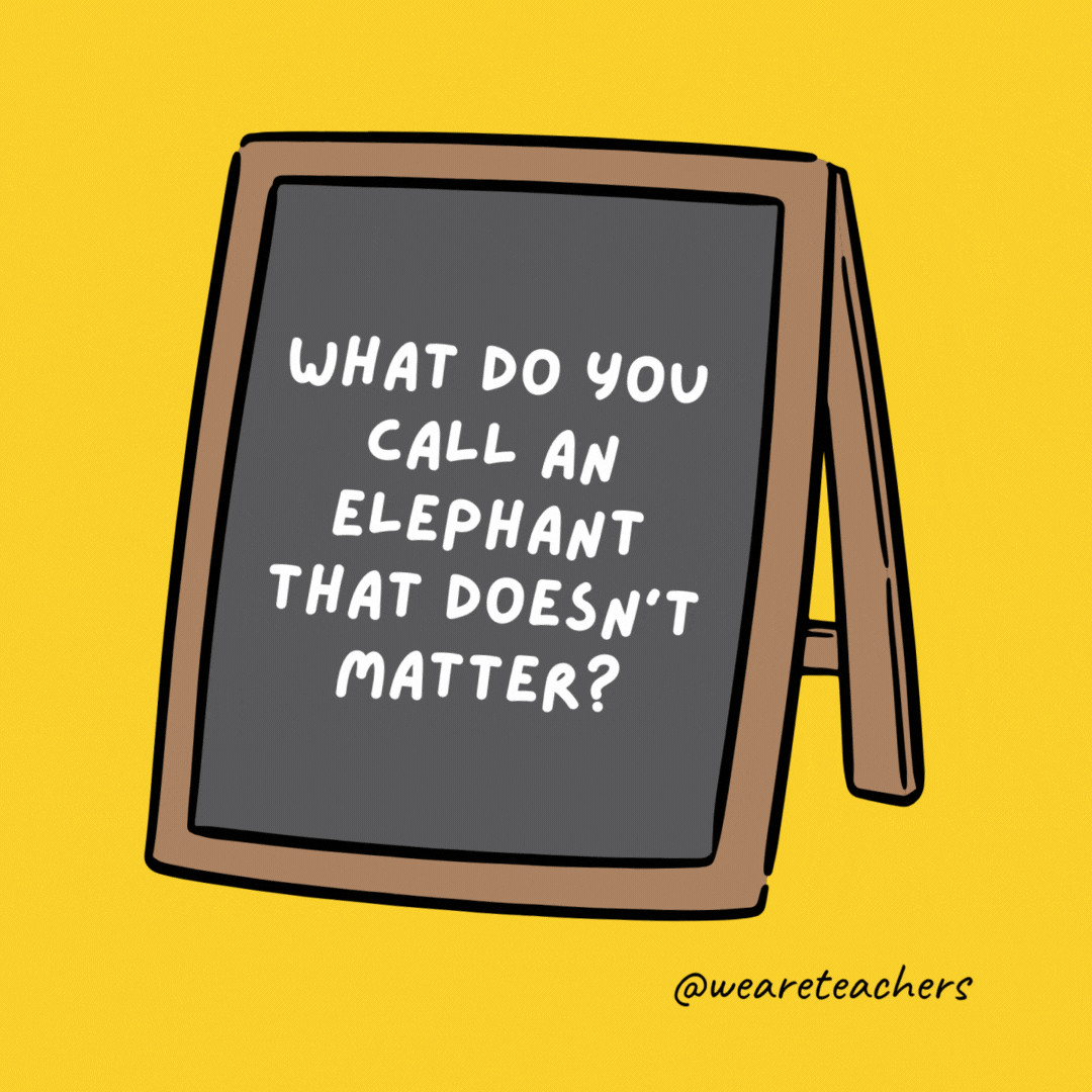 What do you call an elephant that doesn’t matter?

Irrelephant.- jokes for teens