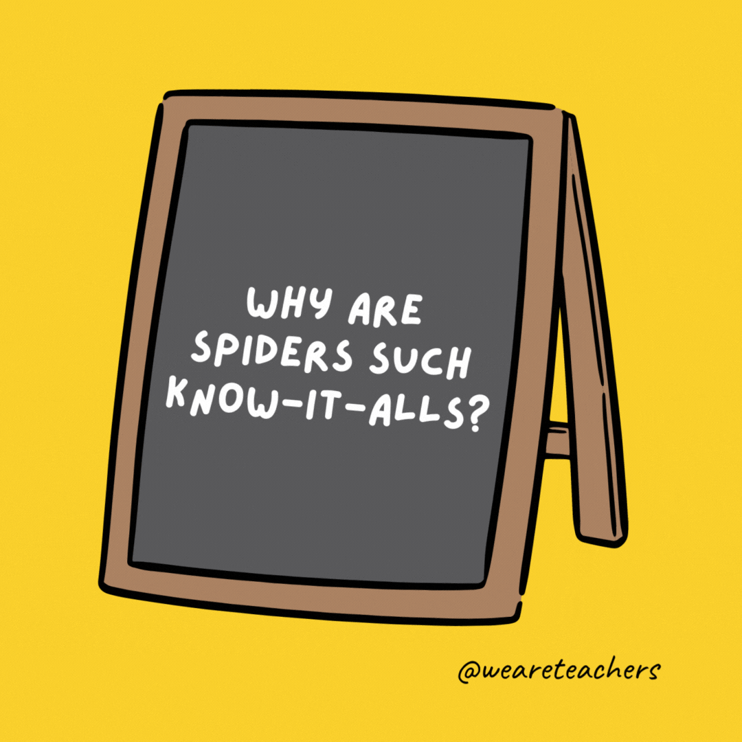 Why are spiders such know-it-alls? They’re always on the web.- jokes for teens
