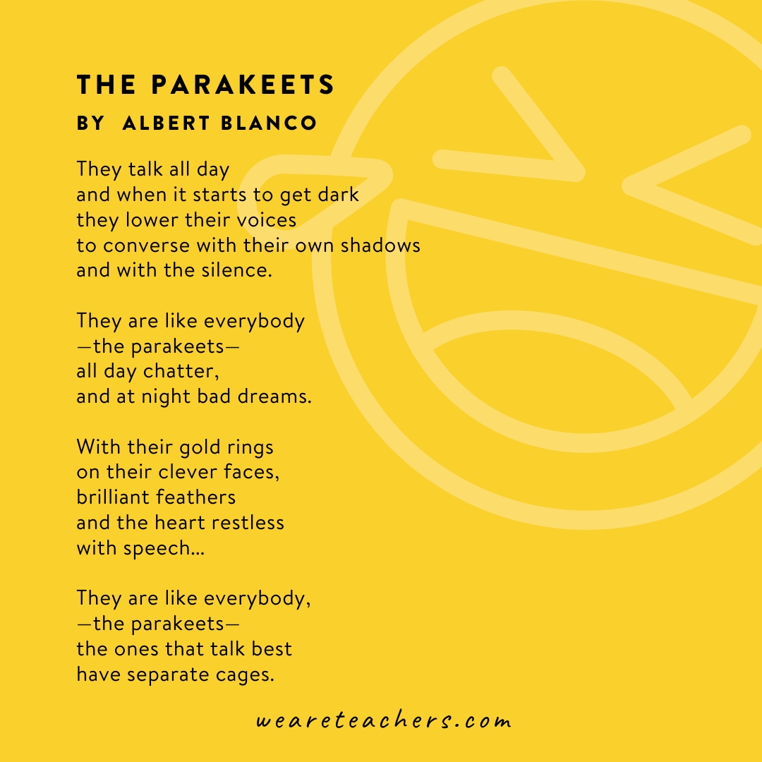 A poem called The Parakeets by Alberto Blanco.