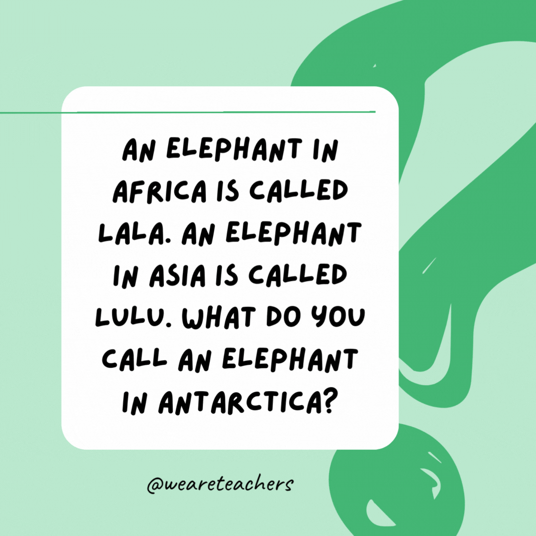 An elephant in Africa is called Lala. An elephant in Asia is called Lulu. What do you call an elephant in Antarctica? 

Lost.- best funny riddles
