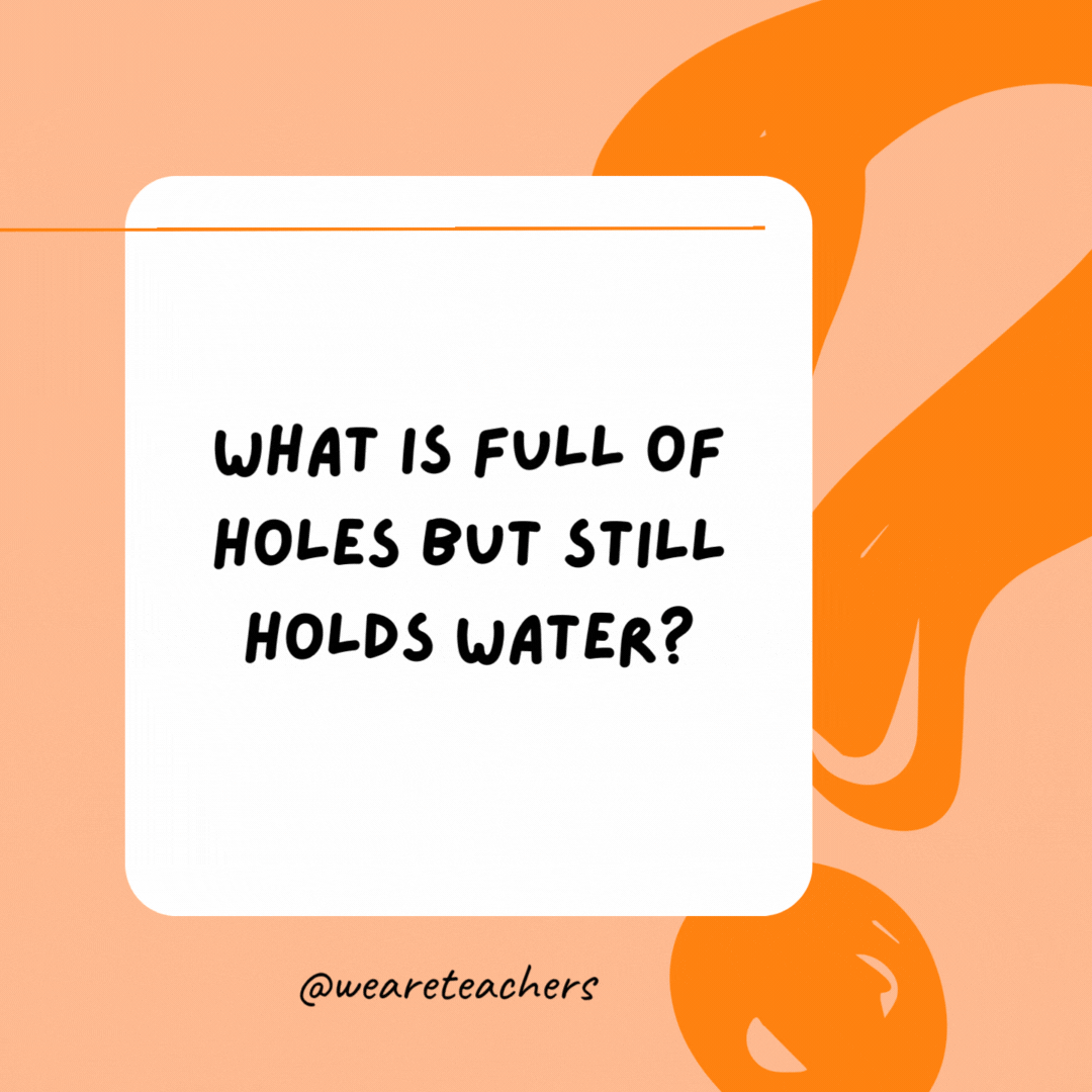 What is full of holes but still holds water? 

A sponge.