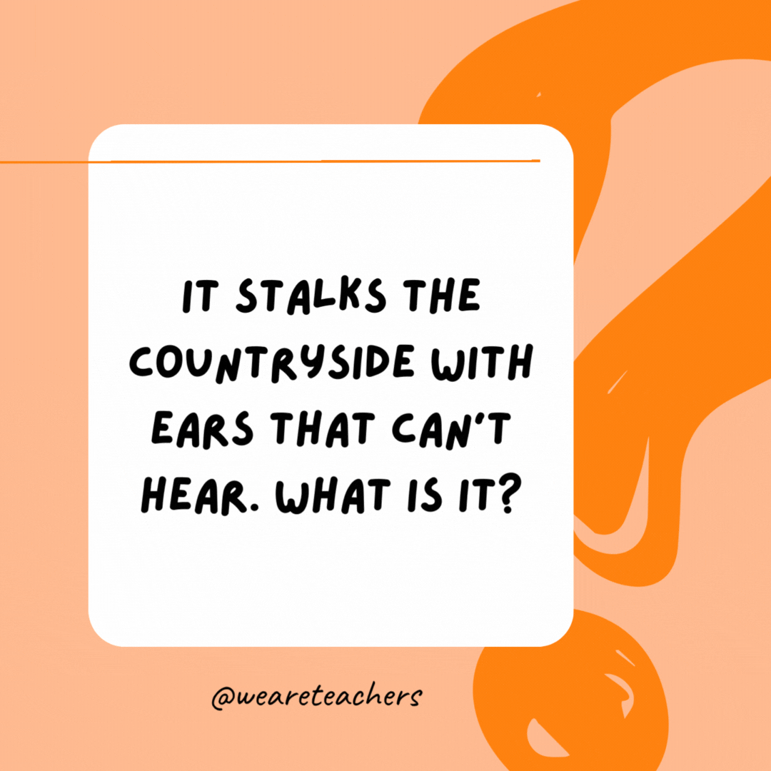 It stalks the countryside with ears that can’t hear. What is it? 

Corn.- best funny riddles