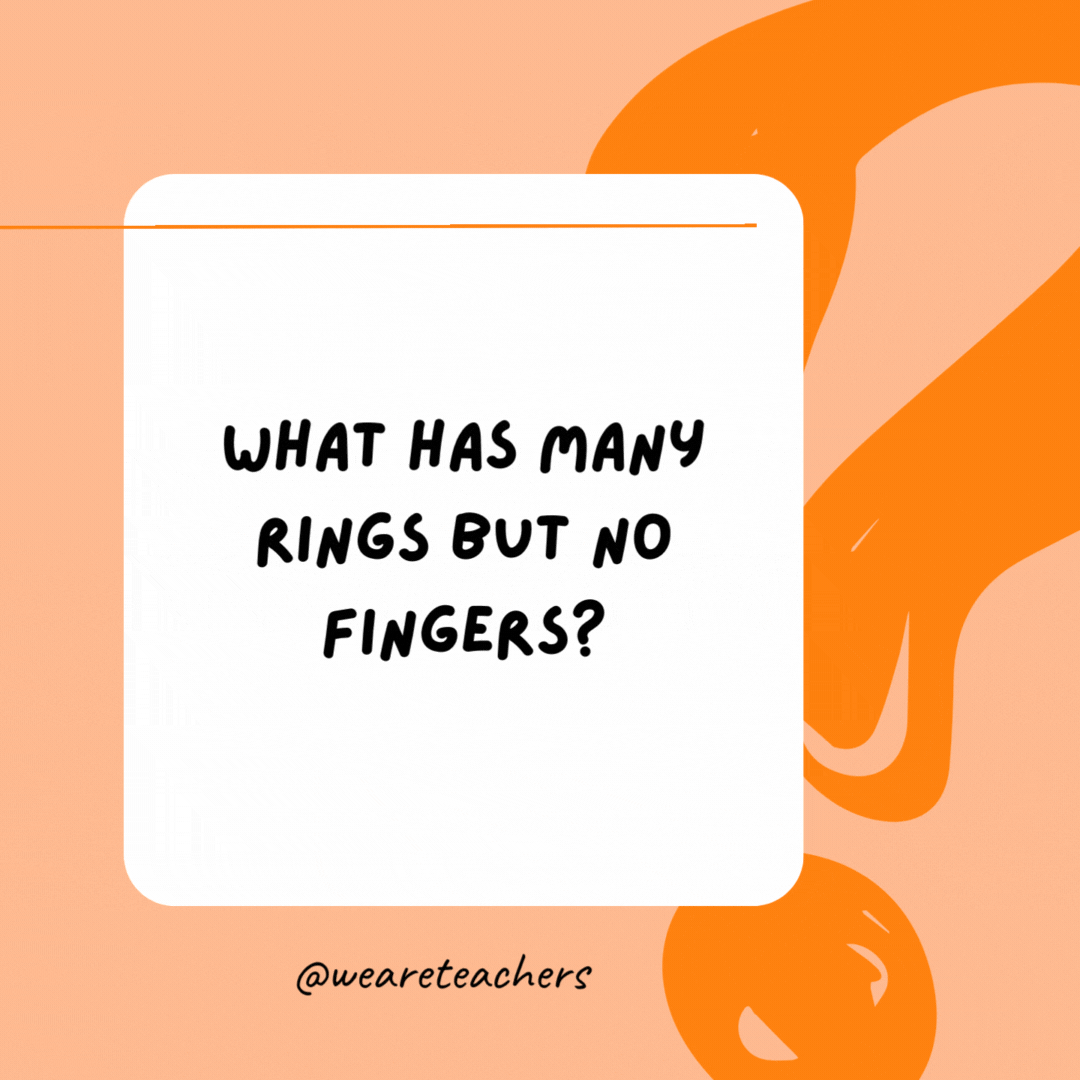 What has many rings but no fingers? 

A telephone.