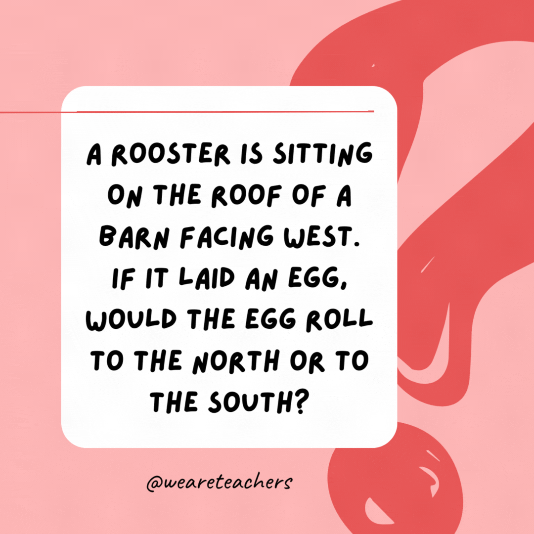 A rooster is sitting on the roof of a barn facing west. If it laid an egg, would the egg roll to the north or to the south? 

This is impossible: Roosters don't lay eggs.