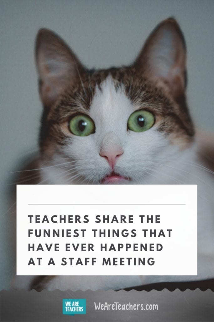 Teachers Share the Funniest Things That Have Ever Happened at a Staff Meeting