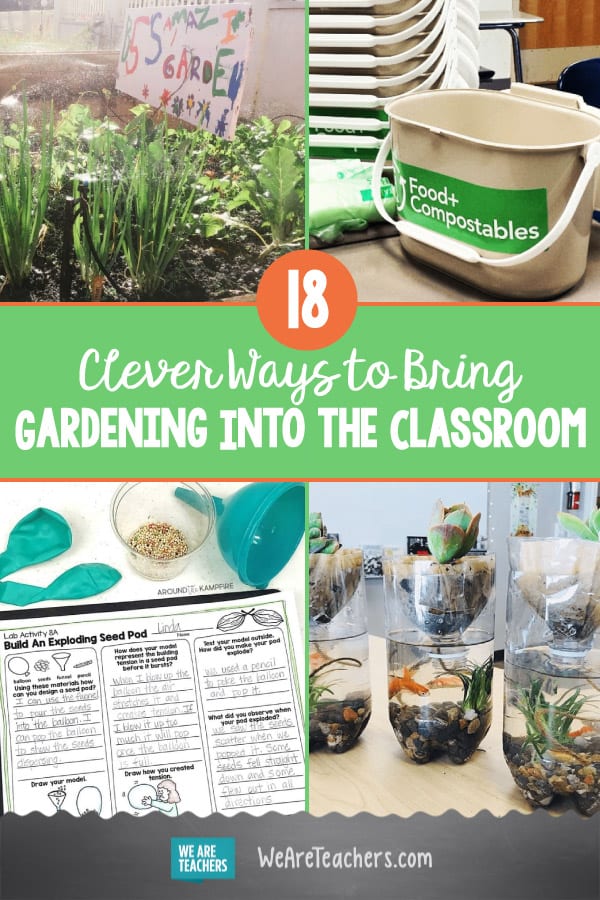 18 Clever Ways to Bring Gardening Into the Classroom
