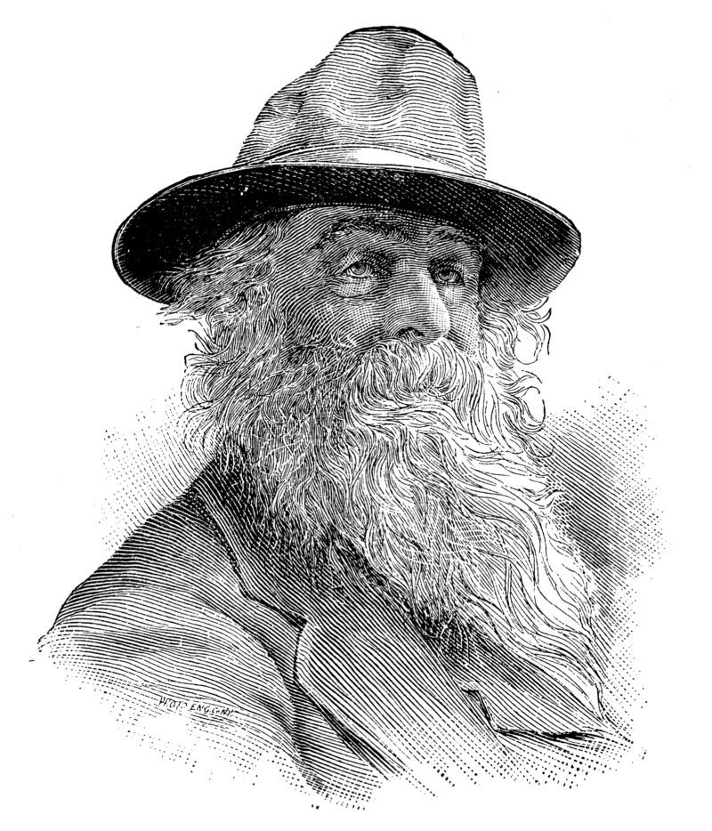 Portrait of famous authors from the past: Walt Whitman