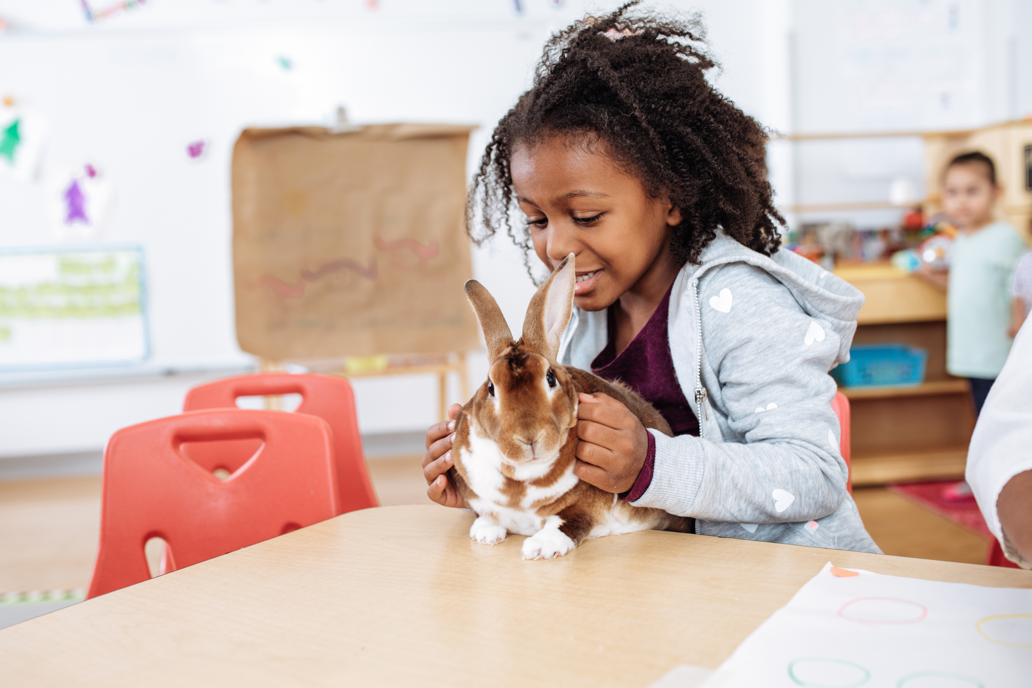 Cute rabbit and a preschooler