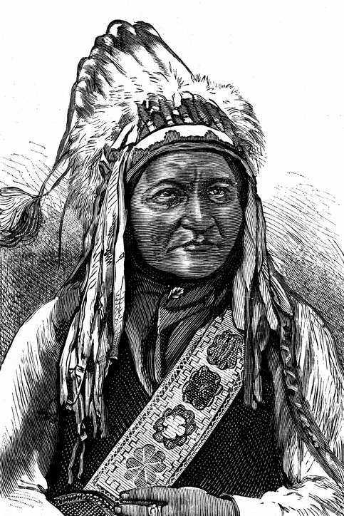 65 Great Leaders of the World Everyone Should Know Portrait of Chief Sitting Bull