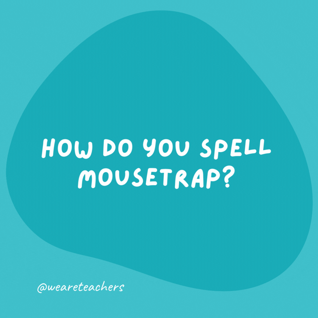 How do you spell mousetrap?

C-A-T.
