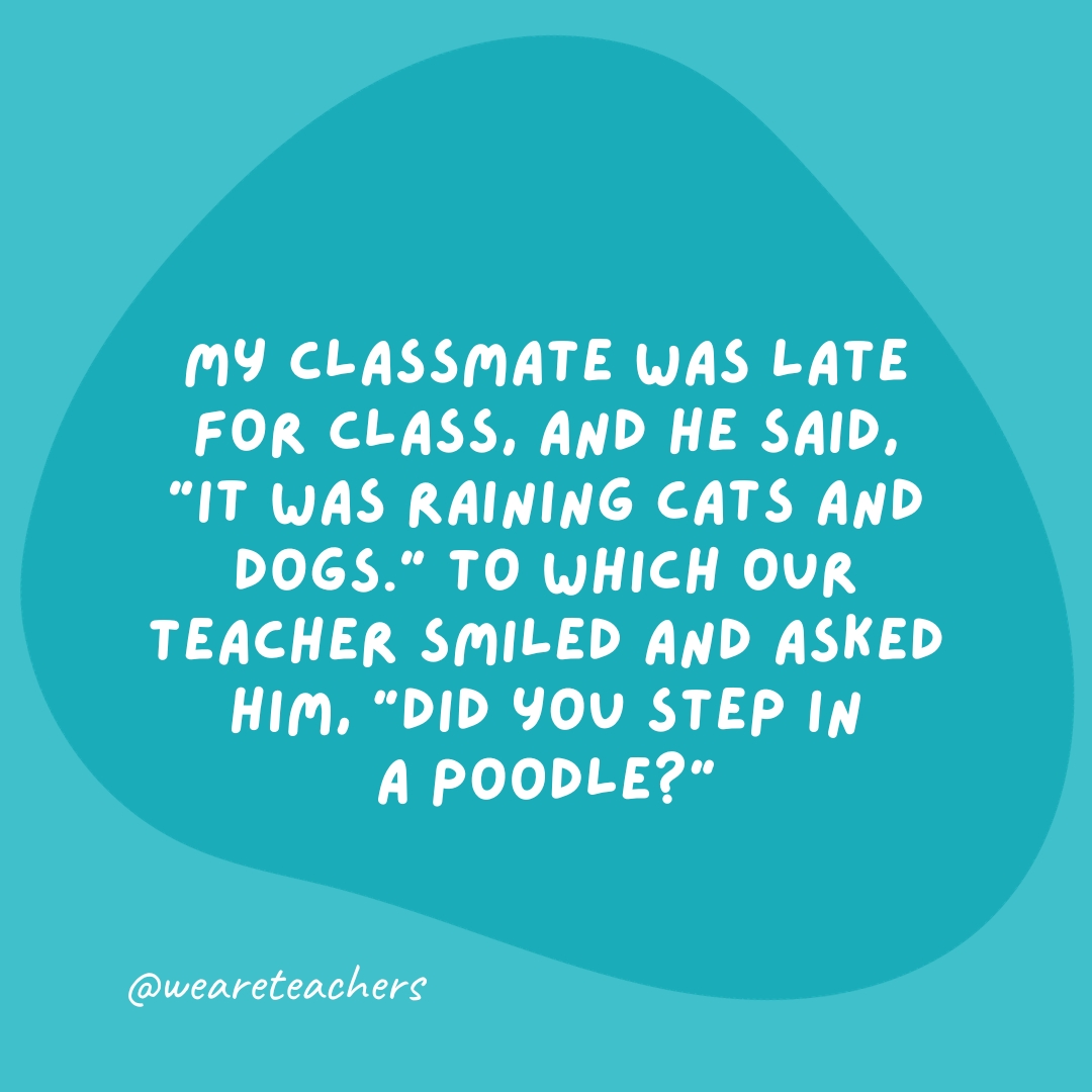 My classmate was late for class, and he said, "It was raining cats and dogs." To which our teacher smiled and asked him, "Did you step in a poodle?"