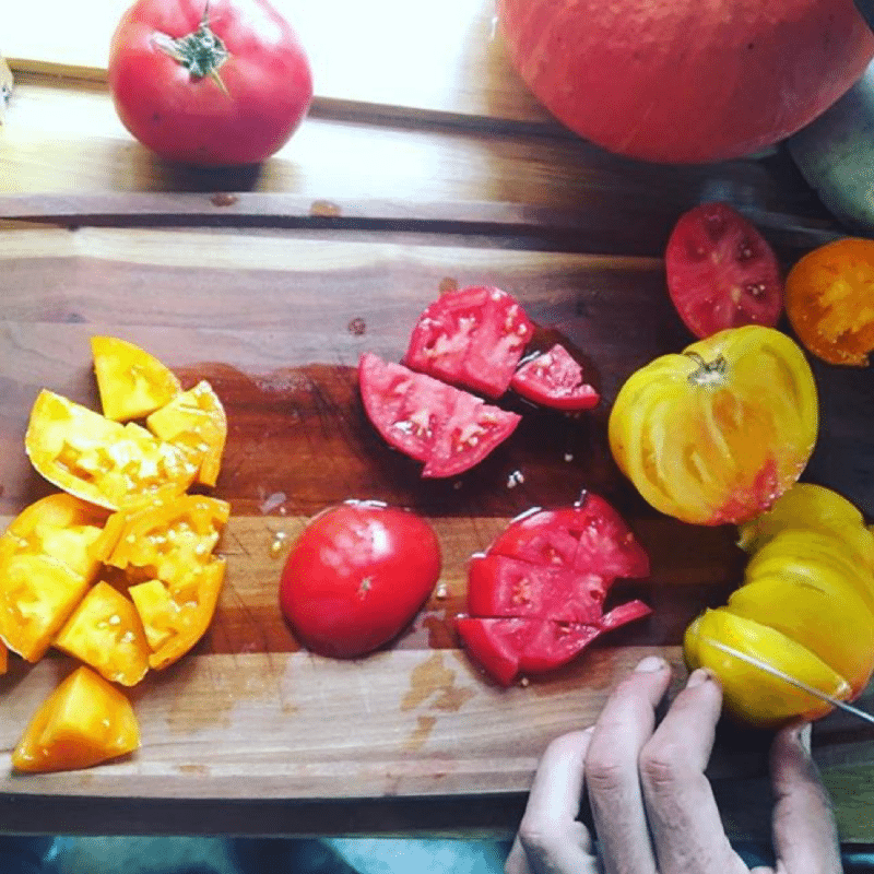 Hands cutting brightly colored tomatoes – Professional Development for Teachers