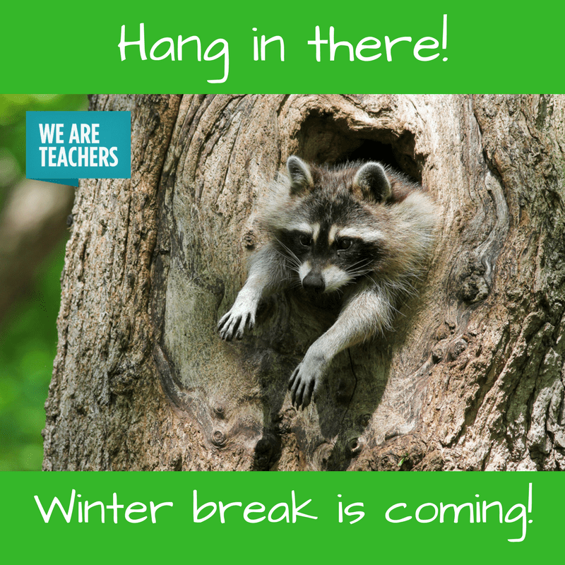 hang in there winter break meme