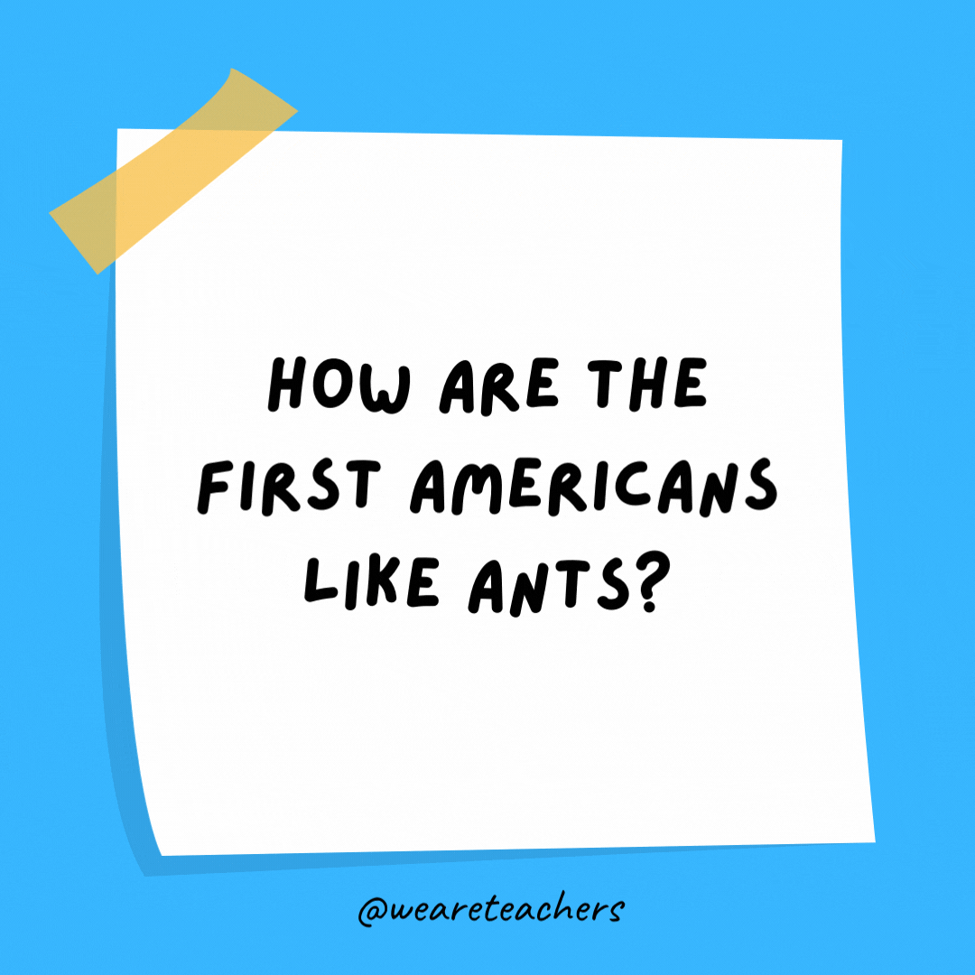 How are the first Americans like ants?