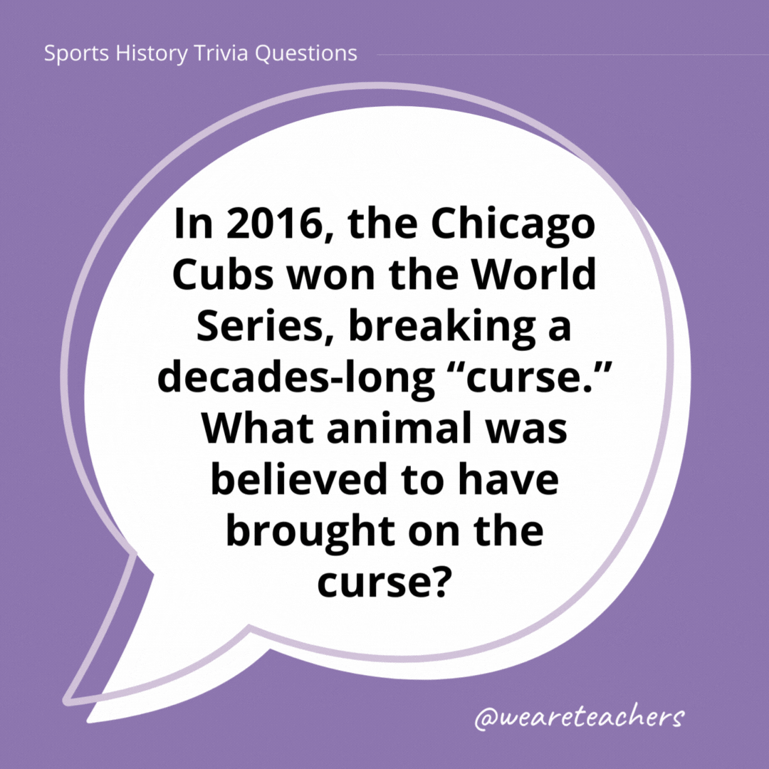 In 2016, the Chicago Cubs won the World Series, breaking a decades-long “curse.” What animal was believed to have brought on the curse? 

A billy goat.- history trivia