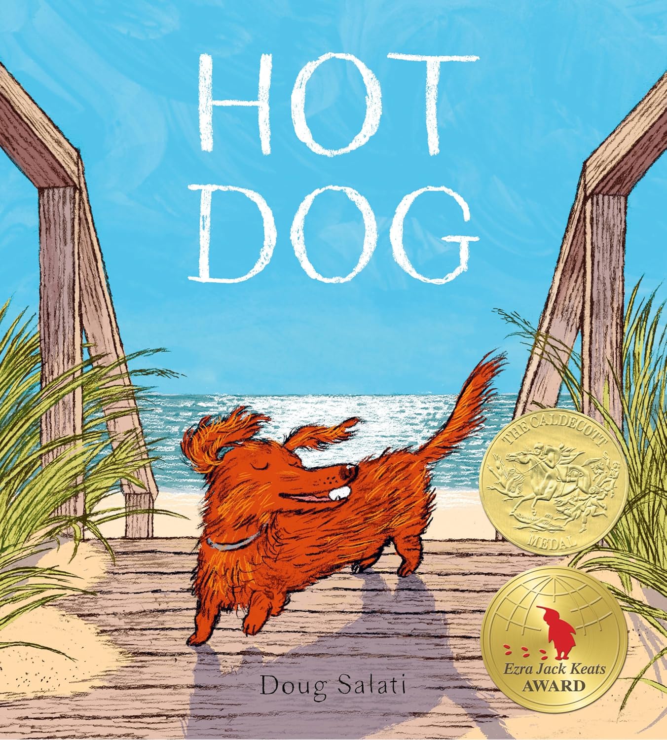Hot Dog A dog cools off by the beach happily- summer picture books for kids