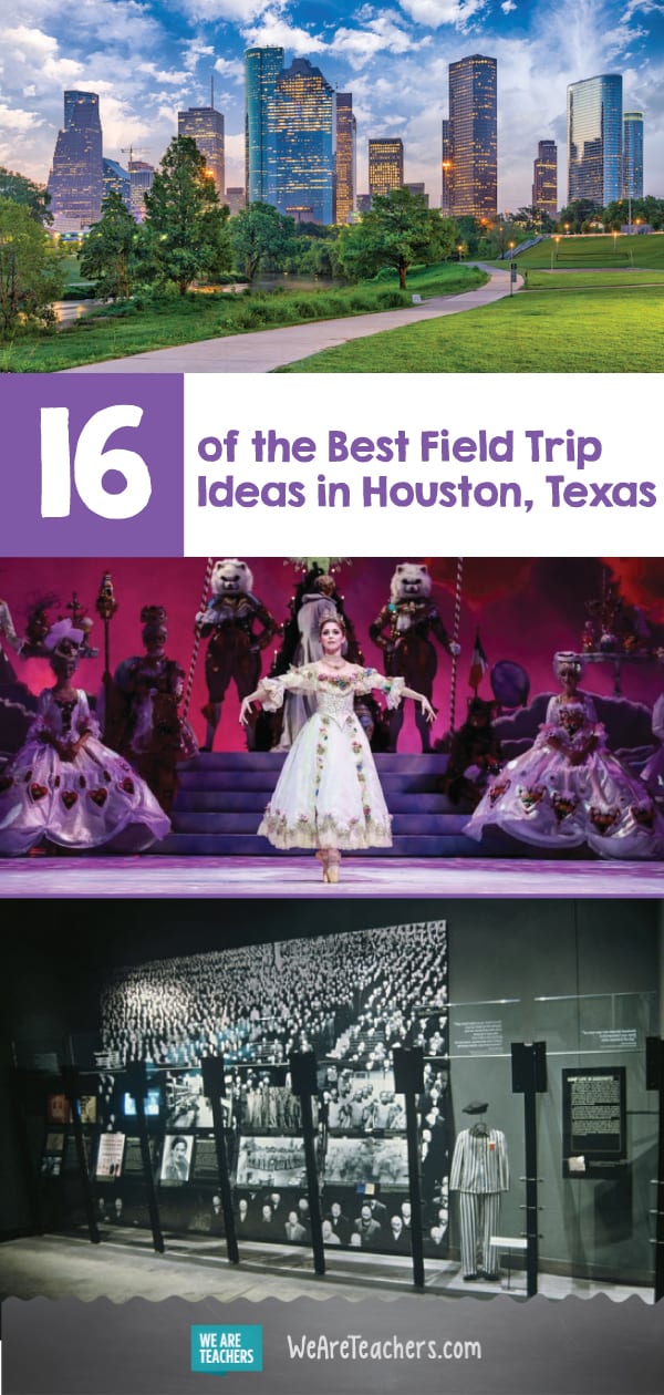 16 of the Best Field Trip Ideas in Houston, Texas