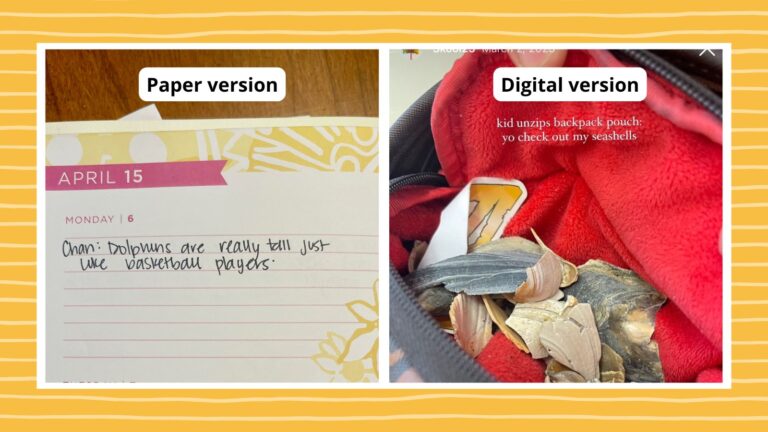 Photos of examples from Jessica Kirkland's daily records