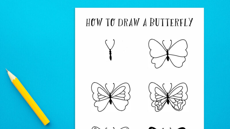 Directly Drawing 70 Free Directed Drawing Activities for Kids - We Are Teachers
