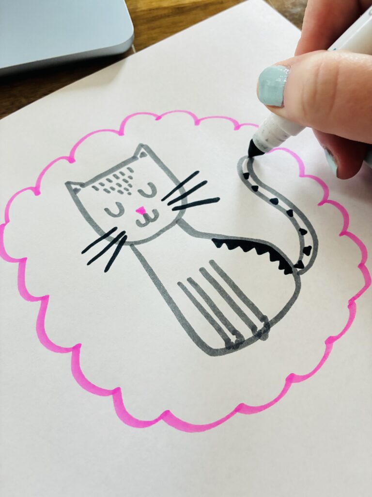 an image of a cat